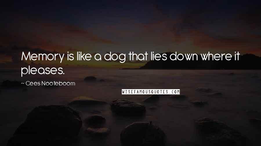 Cees Nooteboom Quotes: Memory is like a dog that lies down where it pleases.