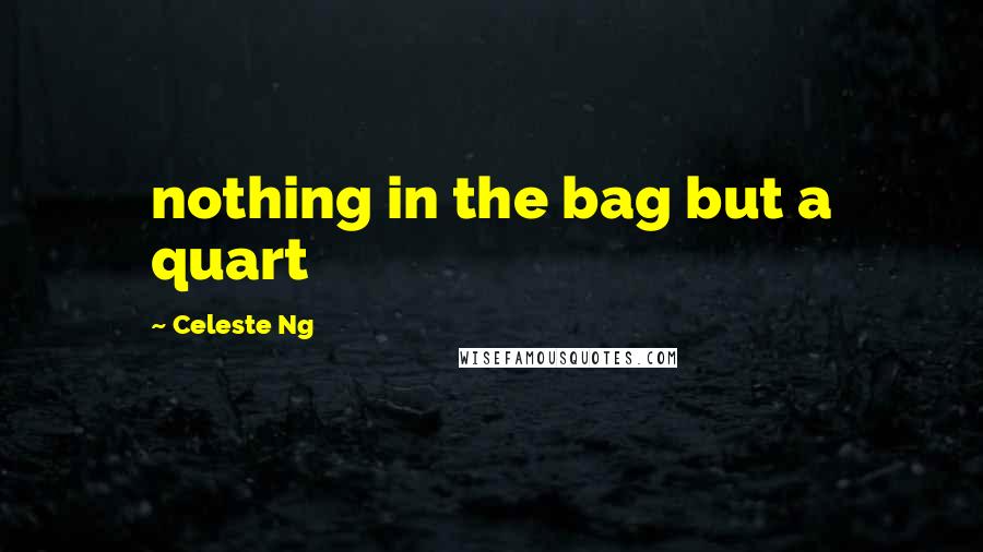 Celeste Ng Quotes: nothing in the bag but a quart