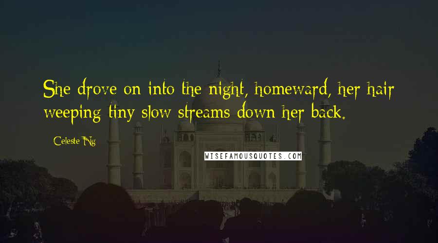 Celeste Ng Quotes: She drove on into the night, homeward, her hair weeping tiny slow streams down her back.