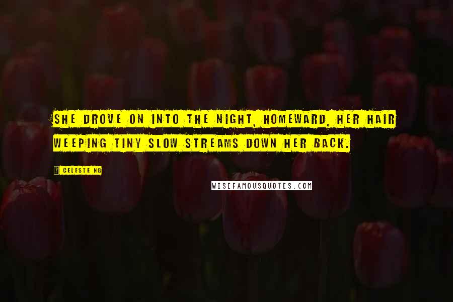 Celeste Ng Quotes: She drove on into the night, homeward, her hair weeping tiny slow streams down her back.