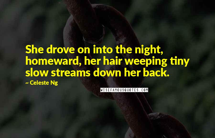 Celeste Ng Quotes: She drove on into the night, homeward, her hair weeping tiny slow streams down her back.