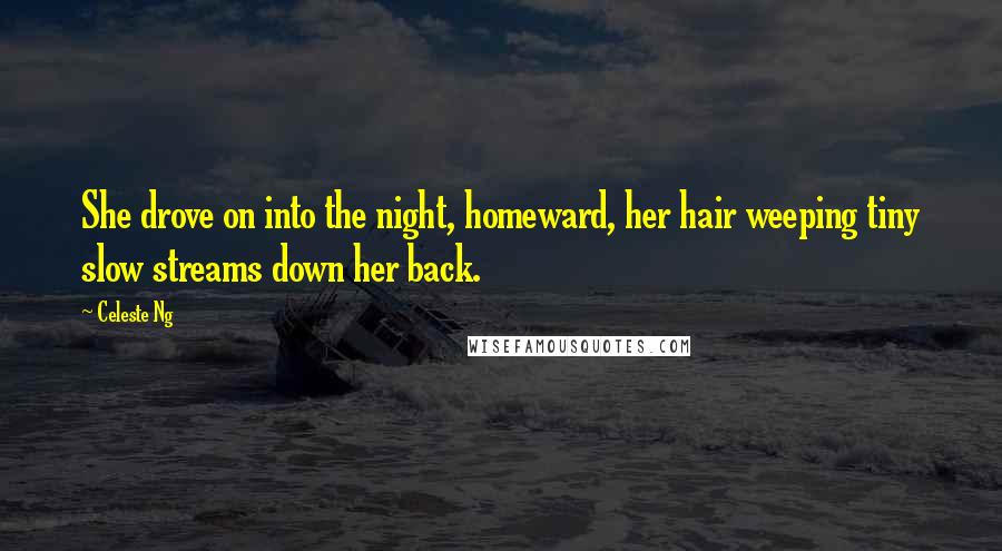 Celeste Ng Quotes: She drove on into the night, homeward, her hair weeping tiny slow streams down her back.