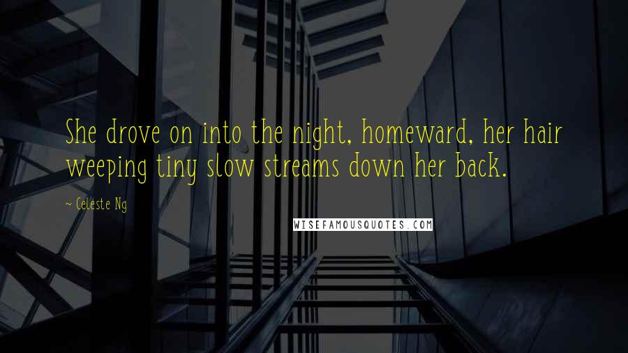 Celeste Ng Quotes: She drove on into the night, homeward, her hair weeping tiny slow streams down her back.