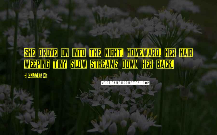 Celeste Ng Quotes: She drove on into the night, homeward, her hair weeping tiny slow streams down her back.