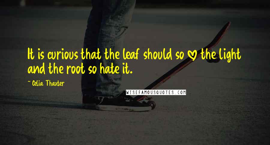 Celia Thaxter Quotes: It is curious that the leaf should so love the light and the root so hate it.