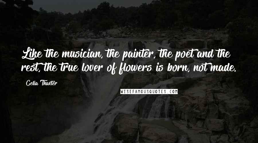 Celia Thaxter Quotes: Like the musician, the painter, the poet and the rest, the true lover of flowers is born, not made.
