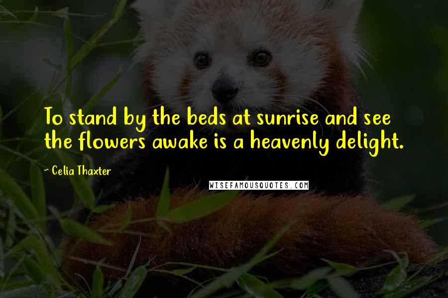 Celia Thaxter Quotes: To stand by the beds at sunrise and see the flowers awake is a heavenly delight.