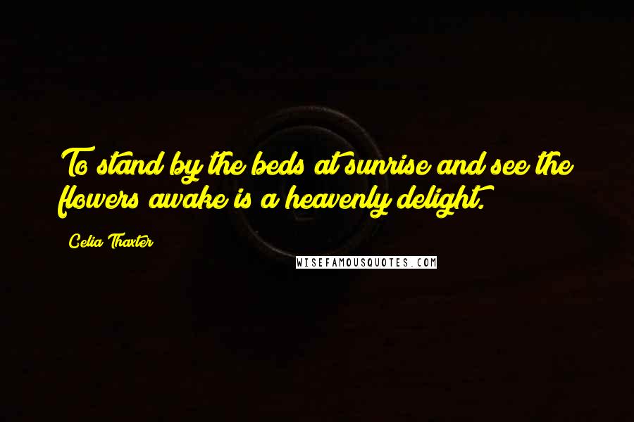 Celia Thaxter Quotes: To stand by the beds at sunrise and see the flowers awake is a heavenly delight.