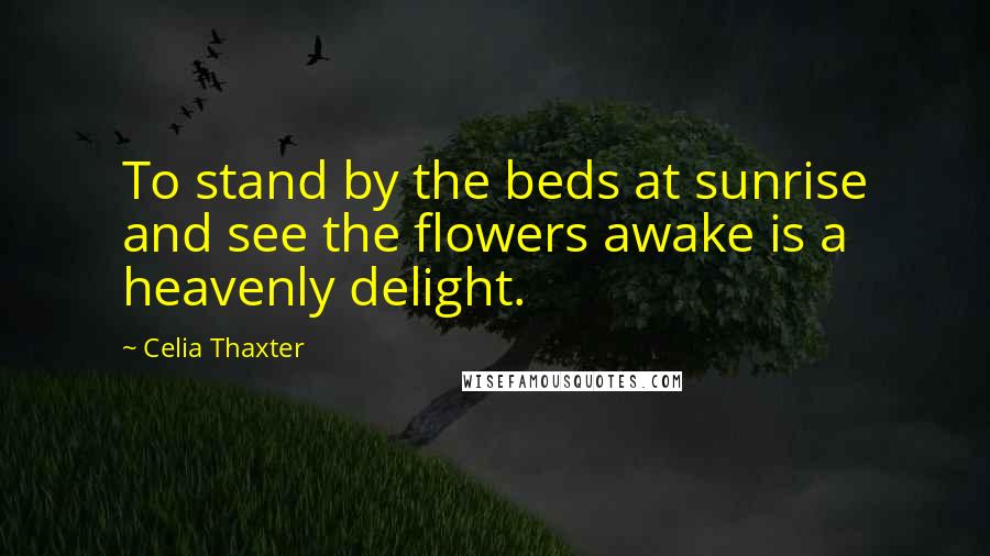 Celia Thaxter Quotes: To stand by the beds at sunrise and see the flowers awake is a heavenly delight.