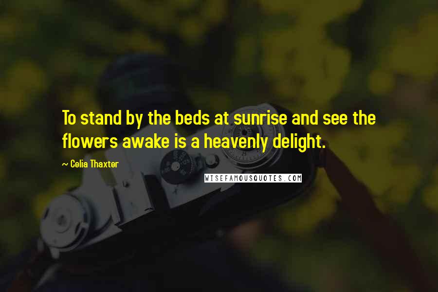 Celia Thaxter Quotes: To stand by the beds at sunrise and see the flowers awake is a heavenly delight.