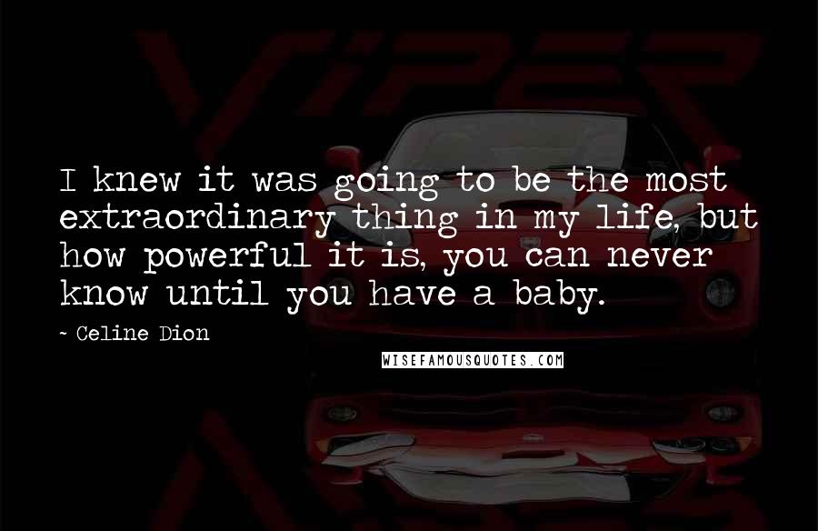 Celine Dion Quotes: I knew it was going to be the most extraordinary thing in my life, but how powerful it is, you can never know until you have a baby.