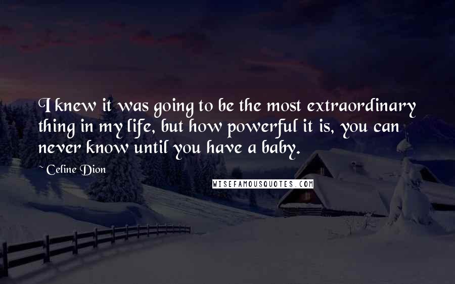 Celine Dion Quotes: I knew it was going to be the most extraordinary thing in my life, but how powerful it is, you can never know until you have a baby.