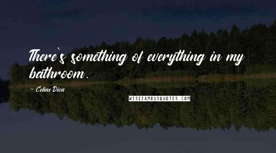 Celine Dion Quotes: There's something of everything in my bathroom.