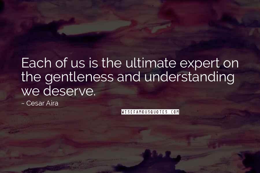 Cesar Aira Quotes: Each of us is the ultimate expert on the gentleness and understanding we deserve.