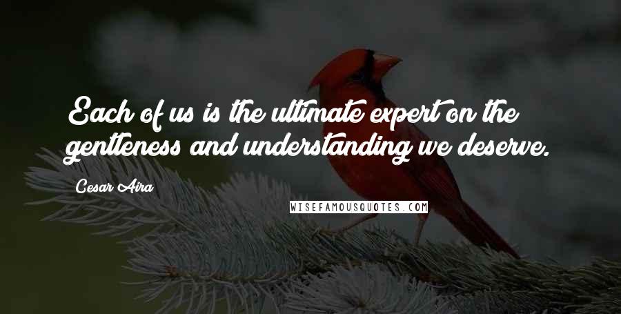 Cesar Aira Quotes: Each of us is the ultimate expert on the gentleness and understanding we deserve.