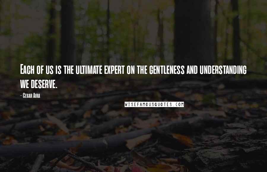 Cesar Aira Quotes: Each of us is the ultimate expert on the gentleness and understanding we deserve.