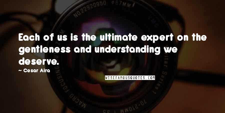 Cesar Aira Quotes: Each of us is the ultimate expert on the gentleness and understanding we deserve.