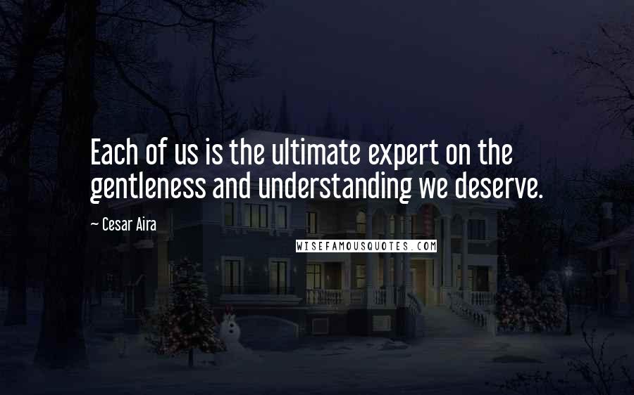 Cesar Aira Quotes: Each of us is the ultimate expert on the gentleness and understanding we deserve.