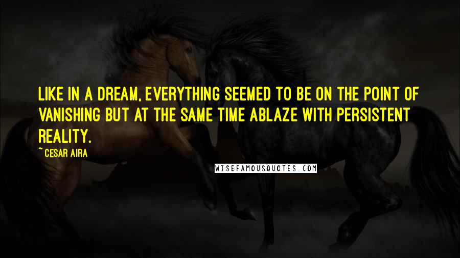 Cesar Aira Quotes: Like in a dream, everything seemed to be on the point of vanishing but at the same time ablaze with persistent reality.