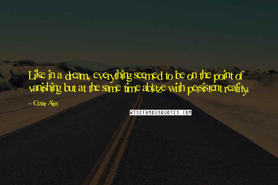 Cesar Aira Quotes: Like in a dream, everything seemed to be on the point of vanishing but at the same time ablaze with persistent reality.