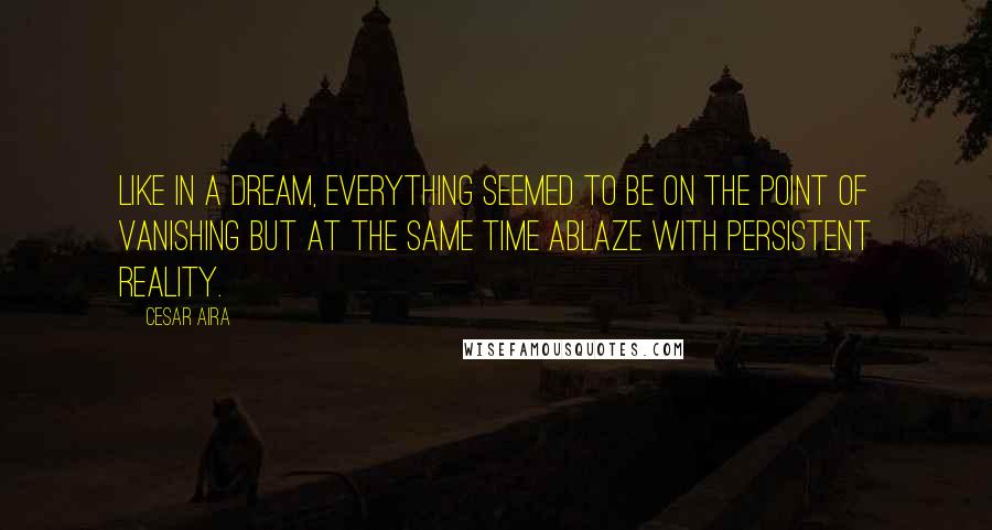 Cesar Aira Quotes: Like in a dream, everything seemed to be on the point of vanishing but at the same time ablaze with persistent reality.