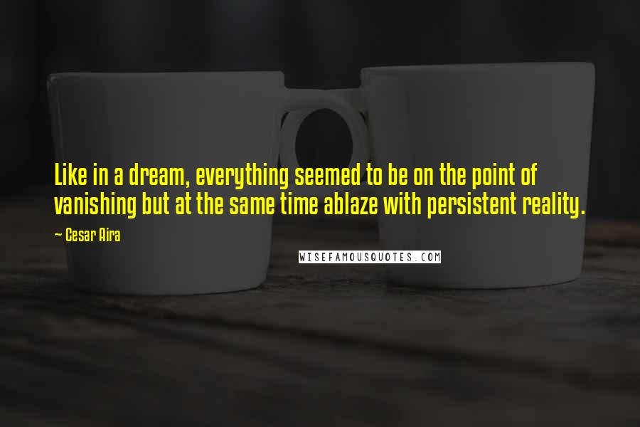 Cesar Aira Quotes: Like in a dream, everything seemed to be on the point of vanishing but at the same time ablaze with persistent reality.