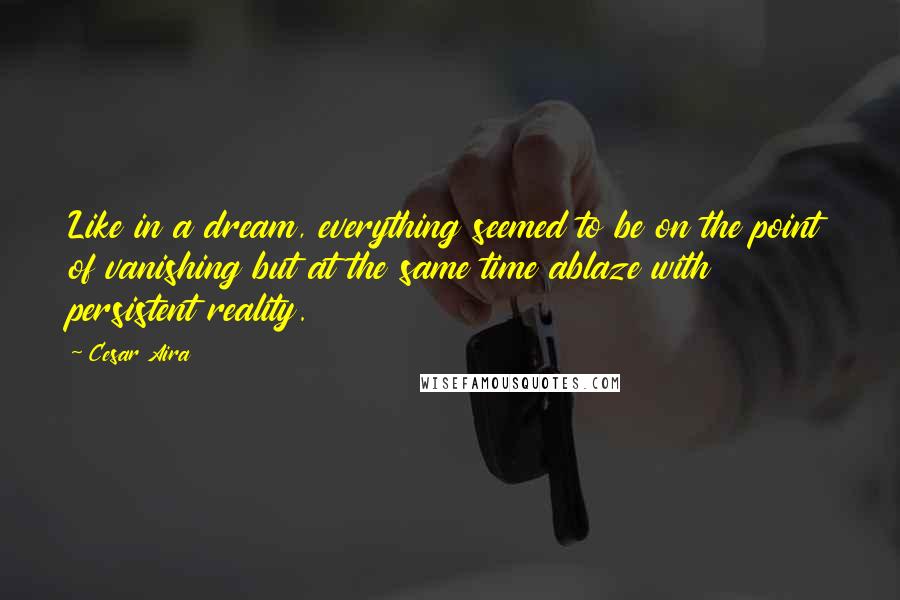 Cesar Aira Quotes: Like in a dream, everything seemed to be on the point of vanishing but at the same time ablaze with persistent reality.