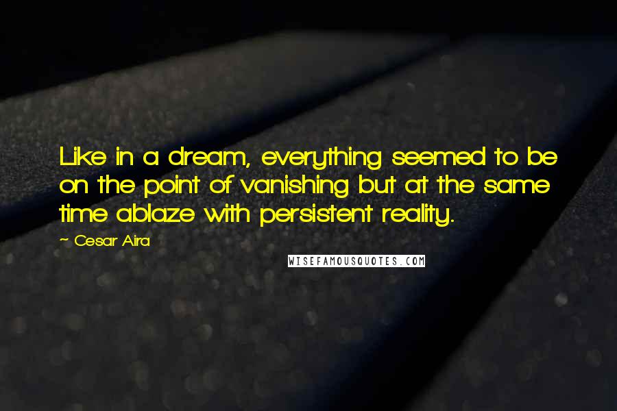 Cesar Aira Quotes: Like in a dream, everything seemed to be on the point of vanishing but at the same time ablaze with persistent reality.