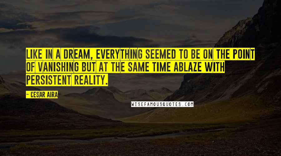 Cesar Aira Quotes: Like in a dream, everything seemed to be on the point of vanishing but at the same time ablaze with persistent reality.