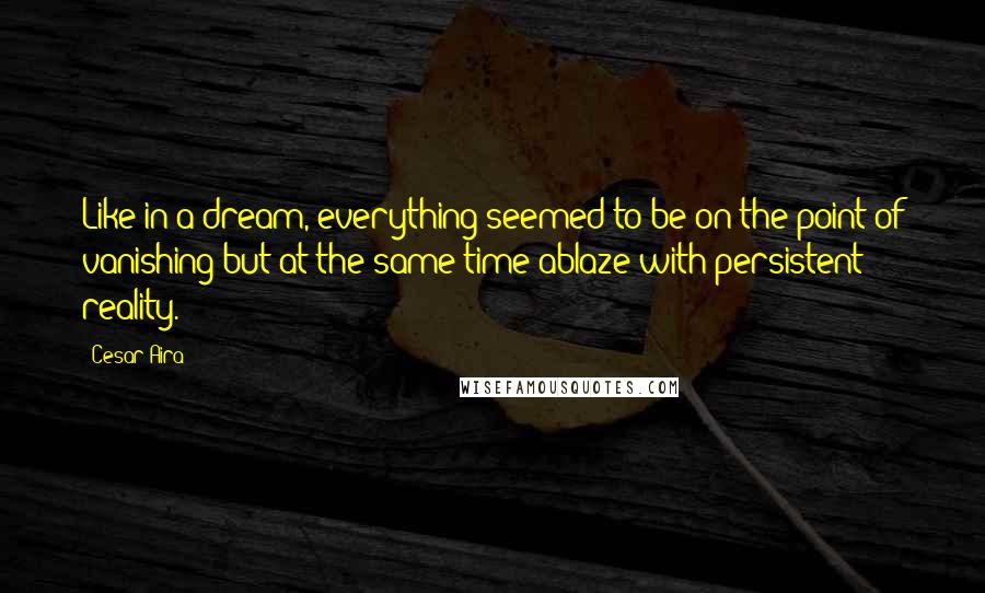 Cesar Aira Quotes: Like in a dream, everything seemed to be on the point of vanishing but at the same time ablaze with persistent reality.