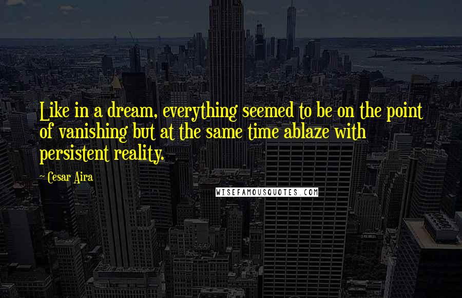 Cesar Aira Quotes: Like in a dream, everything seemed to be on the point of vanishing but at the same time ablaze with persistent reality.