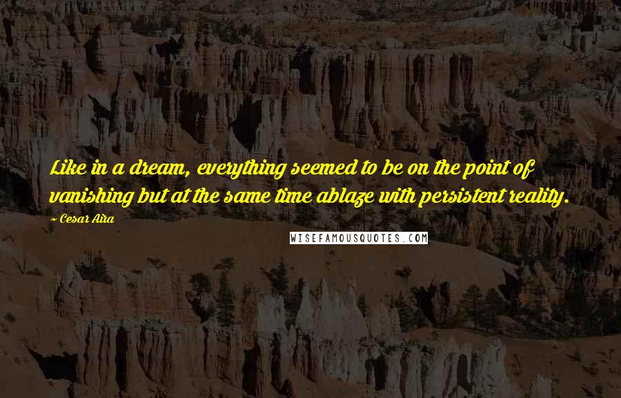 Cesar Aira Quotes: Like in a dream, everything seemed to be on the point of vanishing but at the same time ablaze with persistent reality.