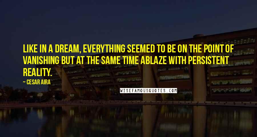 Cesar Aira Quotes: Like in a dream, everything seemed to be on the point of vanishing but at the same time ablaze with persistent reality.