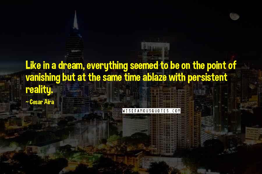 Cesar Aira Quotes: Like in a dream, everything seemed to be on the point of vanishing but at the same time ablaze with persistent reality.