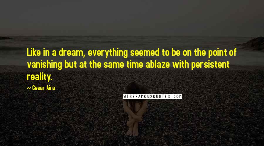 Cesar Aira Quotes: Like in a dream, everything seemed to be on the point of vanishing but at the same time ablaze with persistent reality.