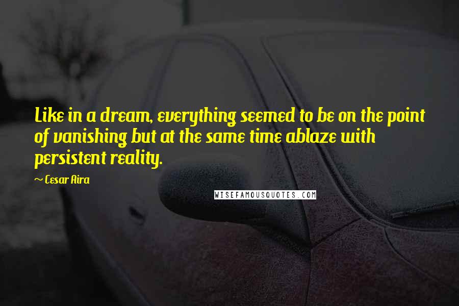 Cesar Aira Quotes: Like in a dream, everything seemed to be on the point of vanishing but at the same time ablaze with persistent reality.