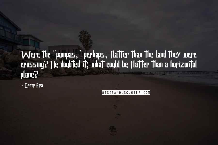 Cesar Aira Quotes: Were the "pampas," perhaps, flatter than the land they were crossing? He doubted it; what could be flatter than a horizontal plane?