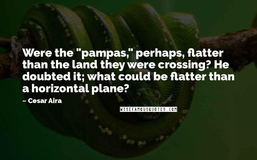 Cesar Aira Quotes: Were the "pampas," perhaps, flatter than the land they were crossing? He doubted it; what could be flatter than a horizontal plane?