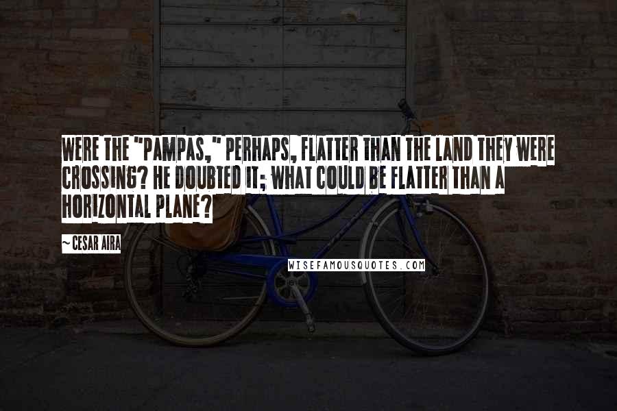 Cesar Aira Quotes: Were the "pampas," perhaps, flatter than the land they were crossing? He doubted it; what could be flatter than a horizontal plane?