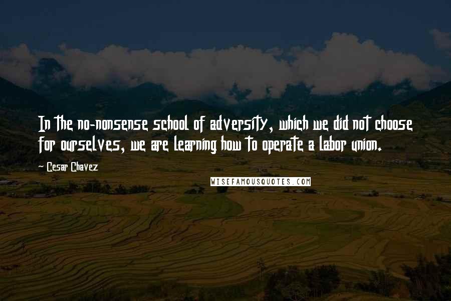 Cesar Chavez Quotes: In the no-nonsense school of adversity, which we did not choose for ourselves, we are learning how to operate a labor union.