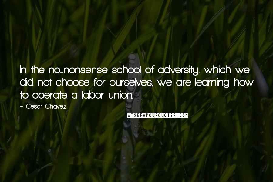 Cesar Chavez Quotes: In the no-nonsense school of adversity, which we did not choose for ourselves, we are learning how to operate a labor union.