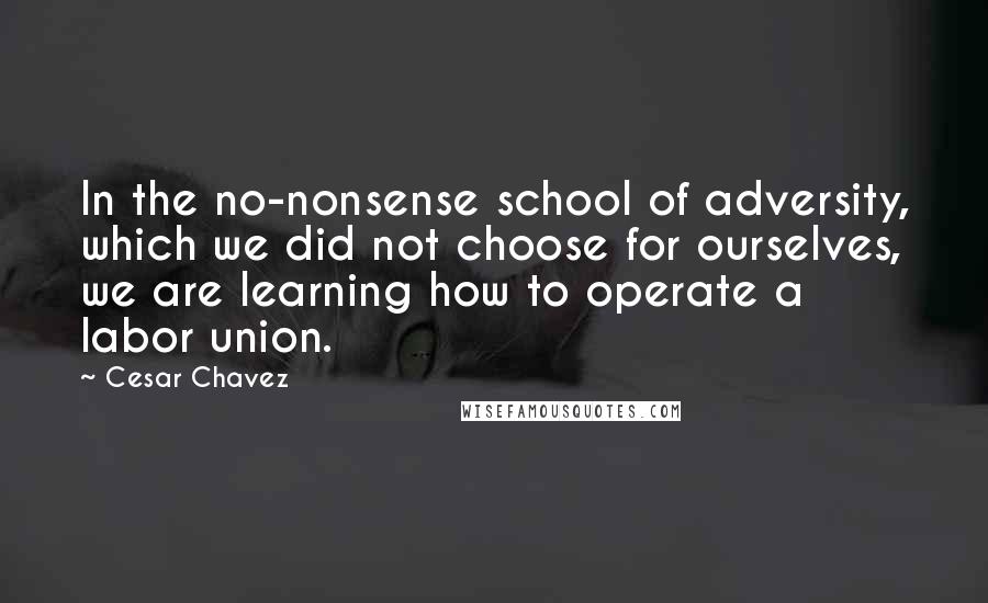 Cesar Chavez Quotes: In the no-nonsense school of adversity, which we did not choose for ourselves, we are learning how to operate a labor union.