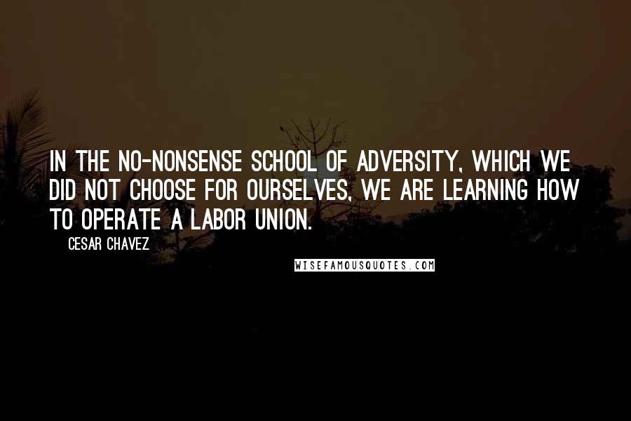 Cesar Chavez Quotes: In the no-nonsense school of adversity, which we did not choose for ourselves, we are learning how to operate a labor union.