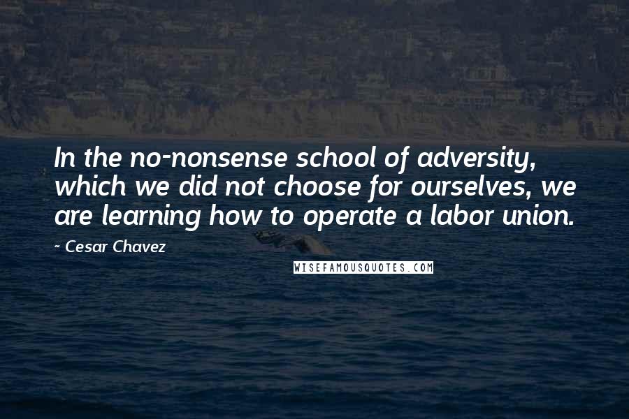 Cesar Chavez Quotes: In the no-nonsense school of adversity, which we did not choose for ourselves, we are learning how to operate a labor union.