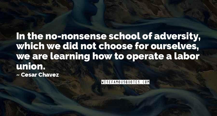 Cesar Chavez Quotes: In the no-nonsense school of adversity, which we did not choose for ourselves, we are learning how to operate a labor union.