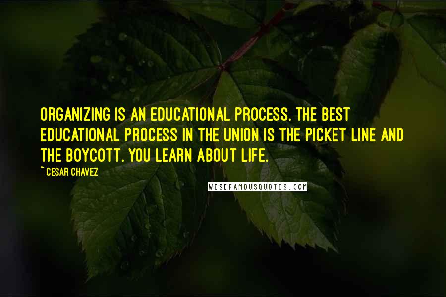 Cesar Chavez Quotes: Organizing is an educational process. The best educational process in the union is the picket line and the boycott. You learn about life.