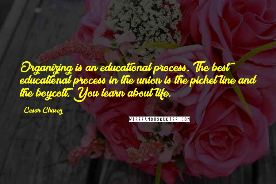 Cesar Chavez Quotes: Organizing is an educational process. The best educational process in the union is the picket line and the boycott. You learn about life.