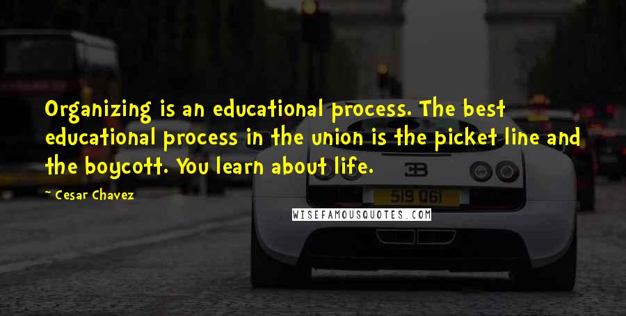 Cesar Chavez Quotes: Organizing is an educational process. The best educational process in the union is the picket line and the boycott. You learn about life.