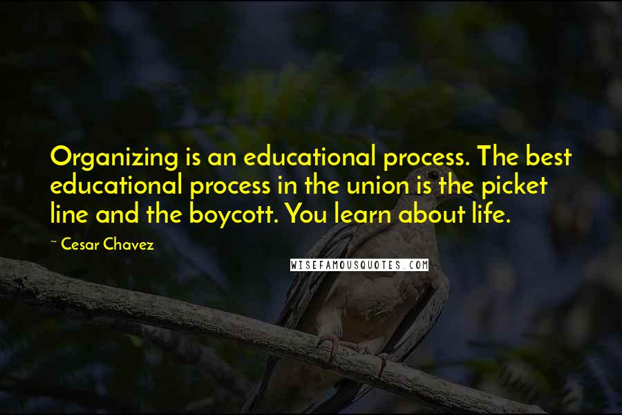 Cesar Chavez Quotes: Organizing is an educational process. The best educational process in the union is the picket line and the boycott. You learn about life.