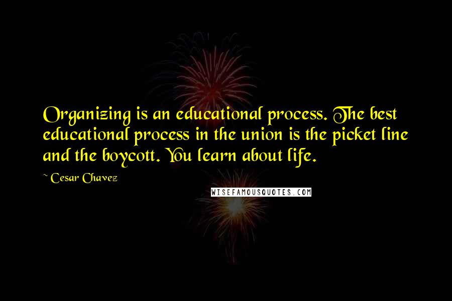 Cesar Chavez Quotes: Organizing is an educational process. The best educational process in the union is the picket line and the boycott. You learn about life.